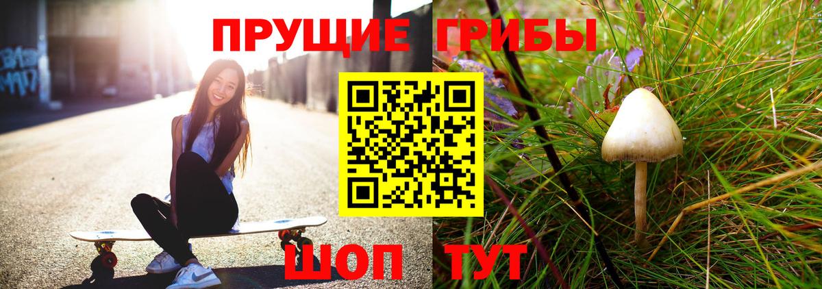 Псилоцибиновые грибы мицелий  как найти закладки  Вход с VPN  Новодвинск  Псилоцибиновые грибы Psilocybine cubensis 